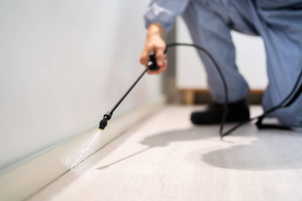Licensed Fumigation Services service in Newkirk, OK - Nex Pest Control