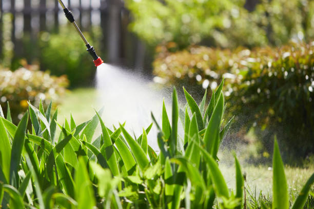 24/7 Emergency Fumigation Services experts in Newkirk, OK