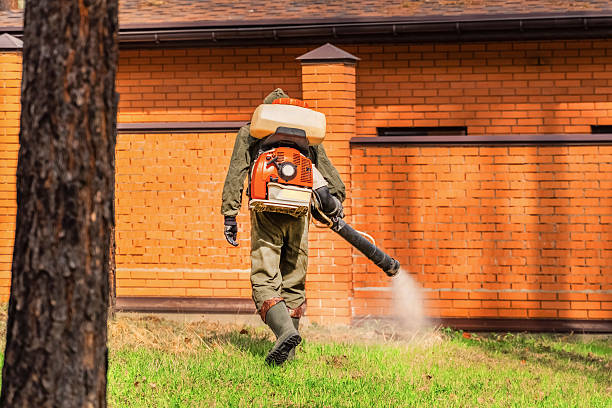 Trusted Termite Control service in Newkirk, OK - Nex Pest Control